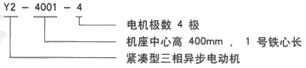 YR系列(H355-1000)高压YJTKK4506-2三相异步电机西安西玛电机型号说明